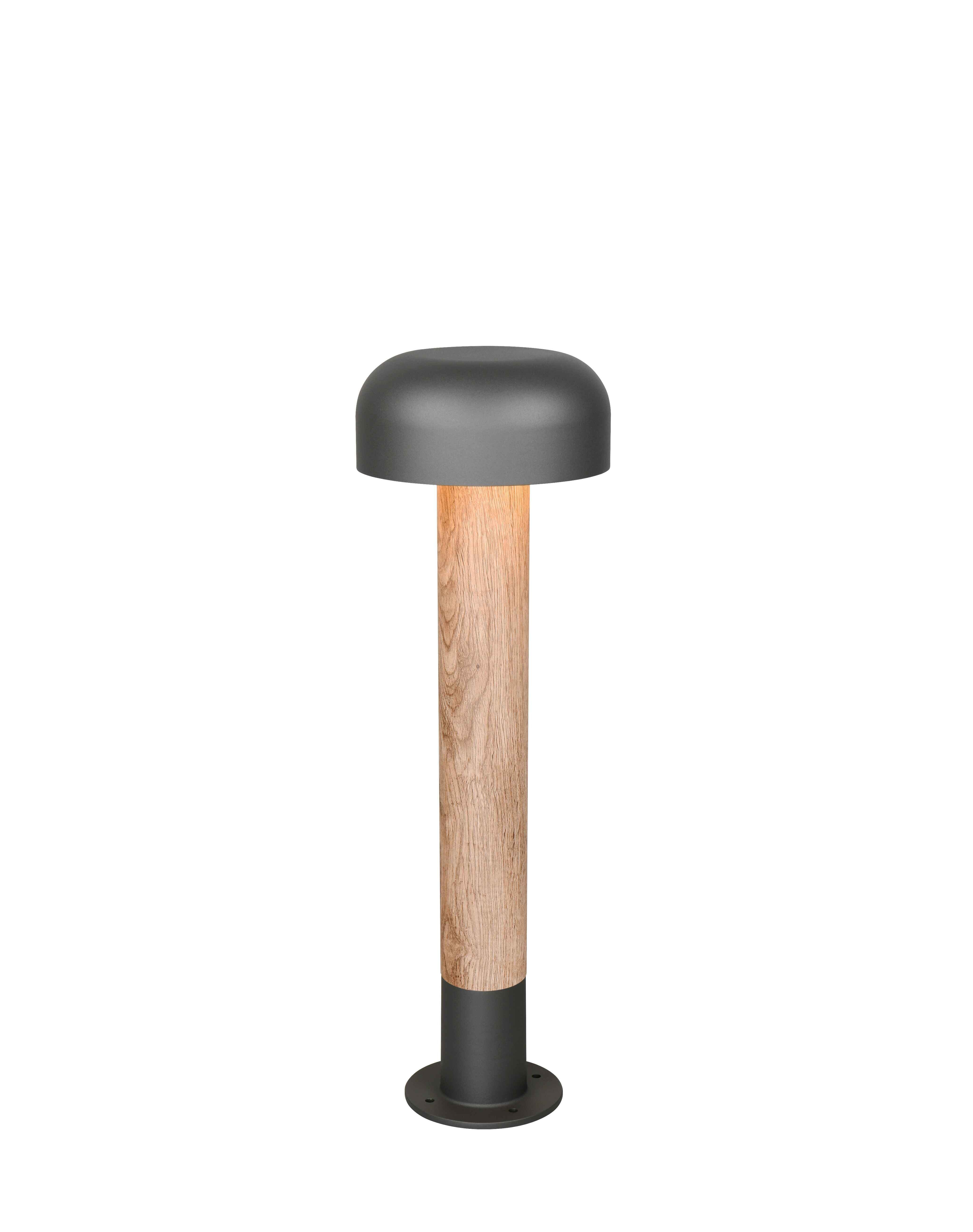 foto del prodotto palo da esterno, alluminio, antracite e legno, h 54 cm, fraser