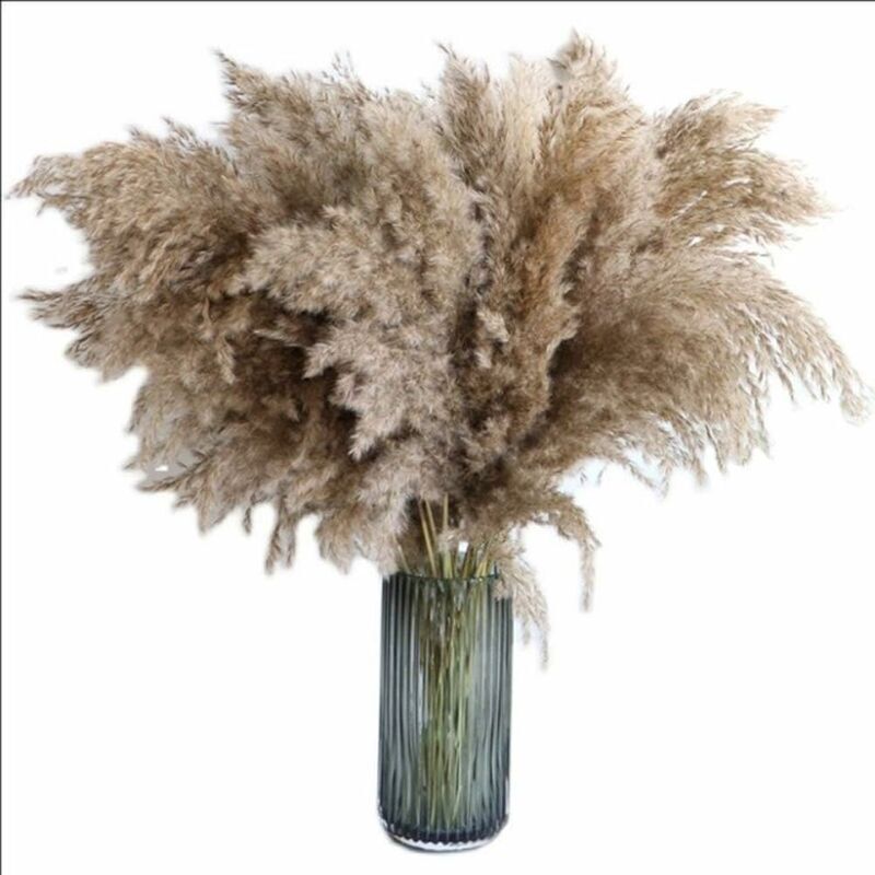 foto del prodotto pampas reed natural ornament bouquet di fiori secchi marroni pampas reed fiori secchi ornamento boh mien casa soggiorno matrimonio 60cm fiori secchi