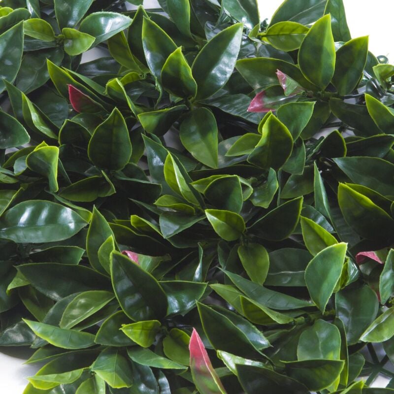 foto del prodotto pannello componibile con foglie artificiali tipo fotinia, divy panel photinia 0,5x0,5 m per decorazione parete giardino verticale - tenax