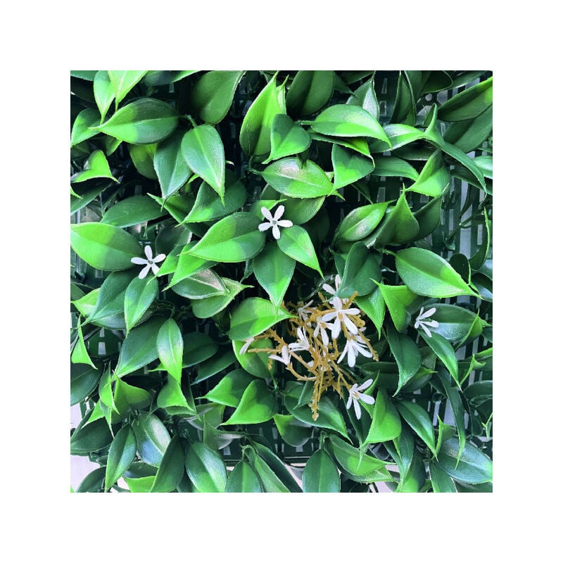 foto del prodotto pannello decorativo sempreverde gelsomino 100x100 cm
