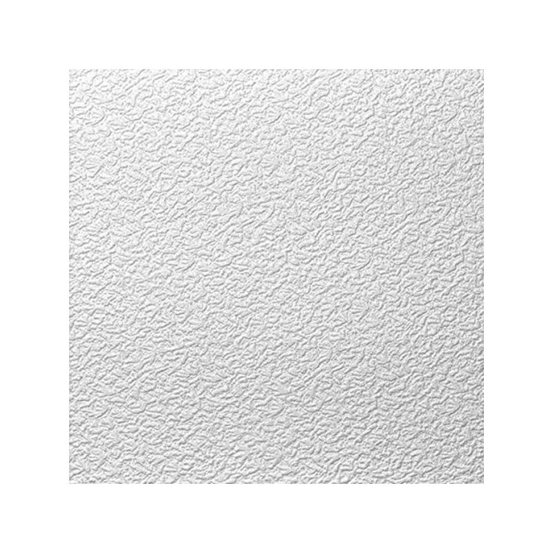 foto del prodotto pannello soffitto europarati gent bianco 50 x 50 x 1 cm