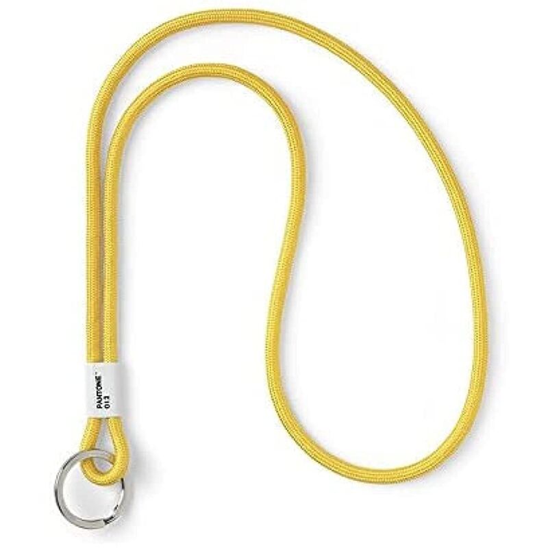 foto del prodotto pantone key chain l, long key hanger, nylon, yellow 012 c