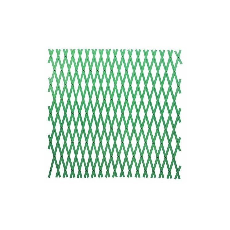foto del prodotto papillon traliccio plastica mt 4x1 estensibile per giardino colore verde 38581 