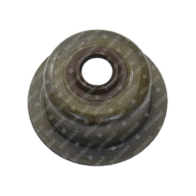 foto del prodotto paraolio valvola per rasaerba blx compatibile 058331