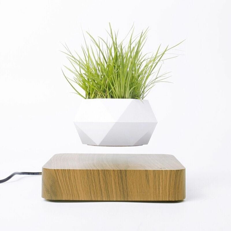 foto del prodotto partenopea utensili - vaso per piante bonsai a levitazione magnetica che vola piantina sospesa in aria