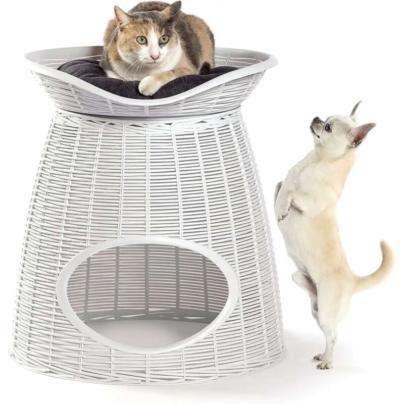 foto del prodotto pasha pet cuccia per cani e gatti giaccio 52x50x55cm piccola taglia bama