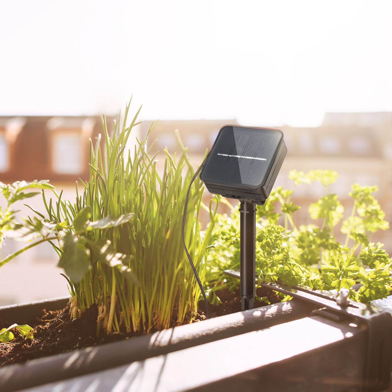 foto del prodotto paulmann 78896 solar-strip led 3 m, bianco caldo