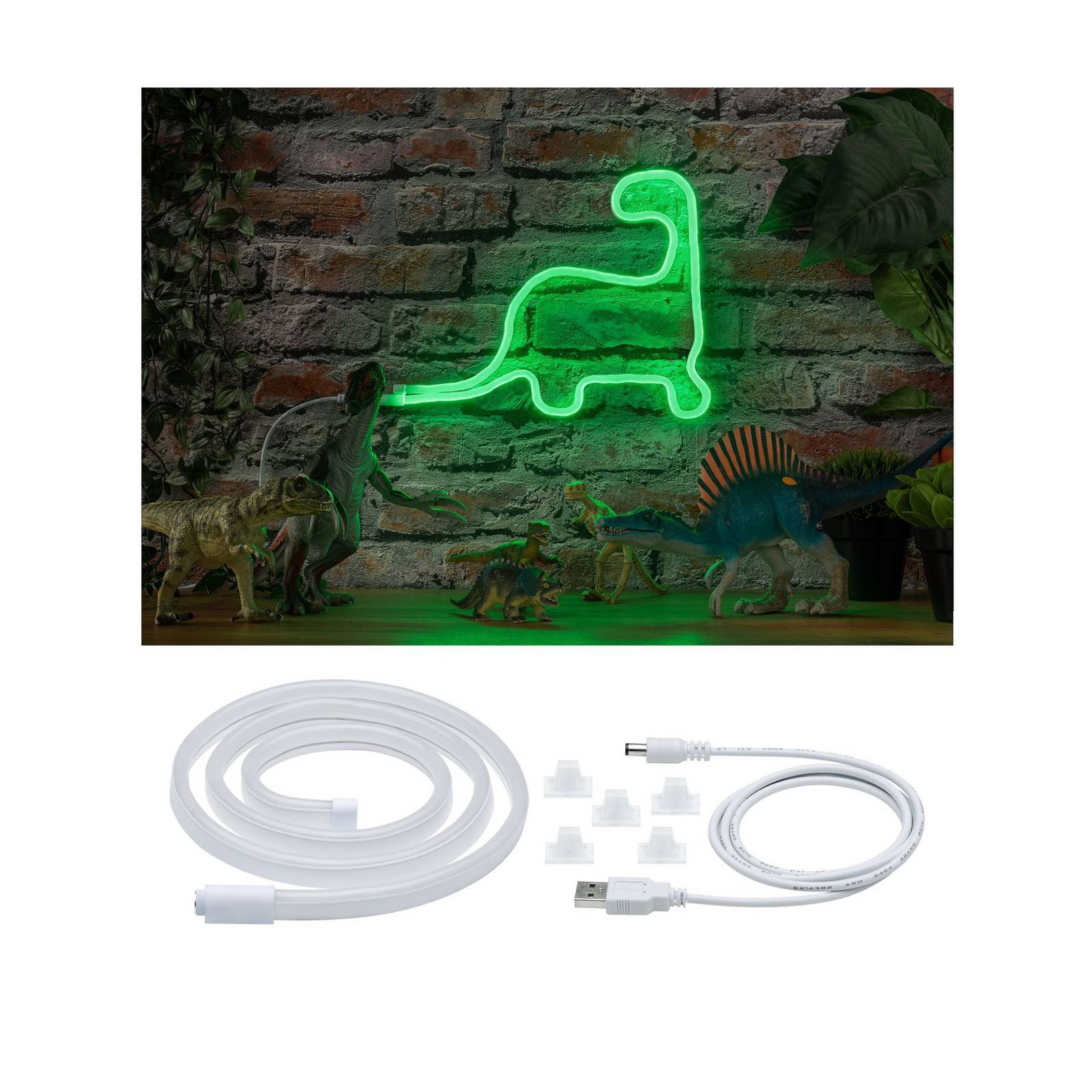 foto del prodotto paulmann striscia led neon colorflex usb 1 m verde