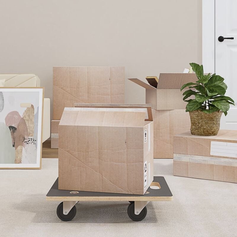 foto del prodotto pedane di trasporto 2 pz rettangolari 50x35x11,5 cm 250 kg vidaxl