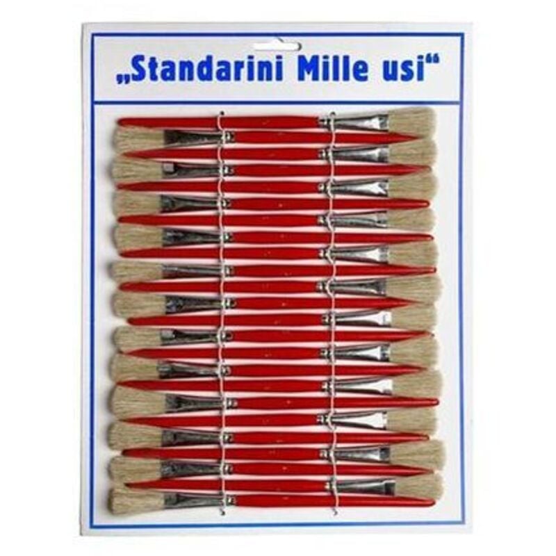 foto del prodotto pennelli standarini mille usi 24 pz. idroweb