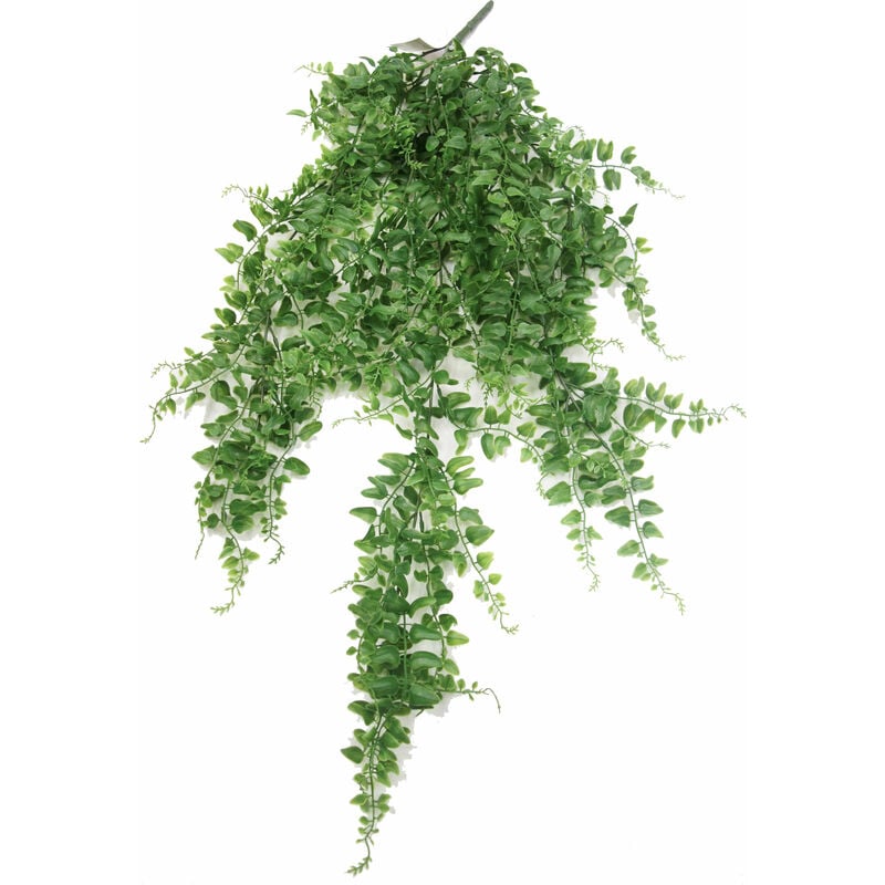 foto del prodotto peperomia cespuglio cadente artificiale verde uvr h cm 81