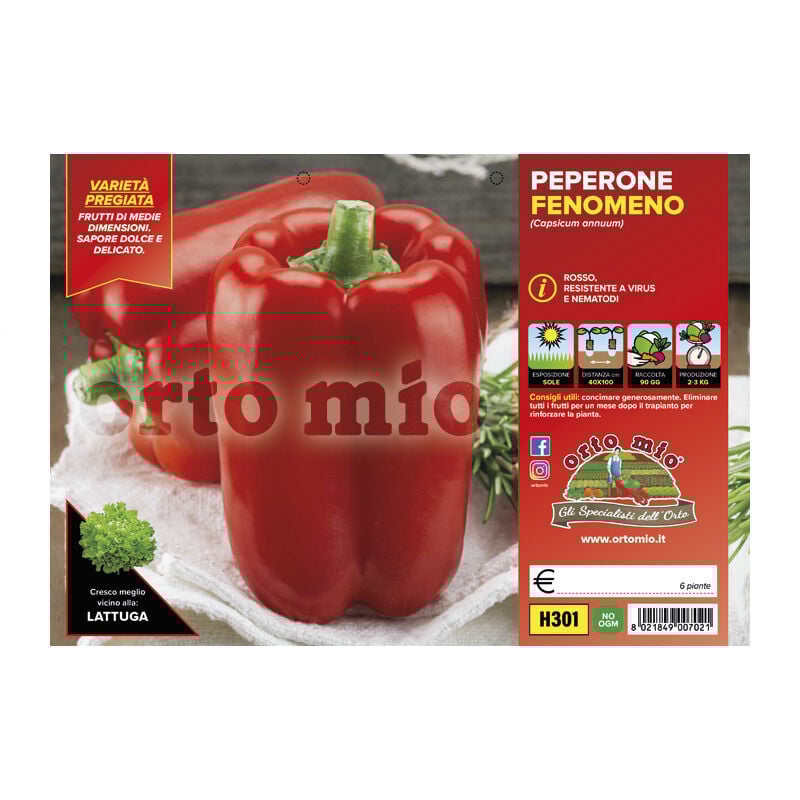 foto del prodotto peperone fenomeno rosso orto mio