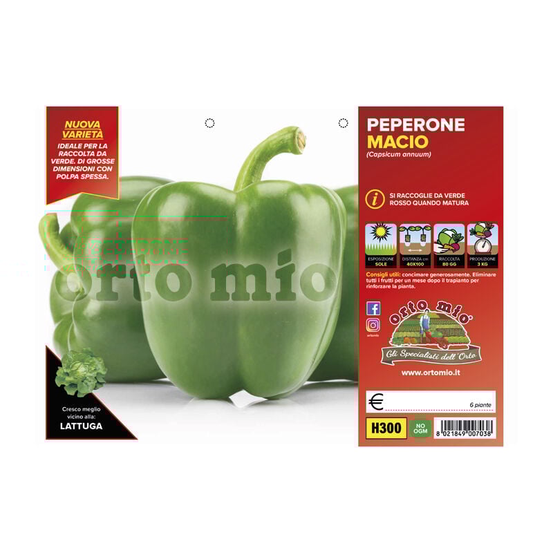 foto del prodotto peperone verde macio orto mio