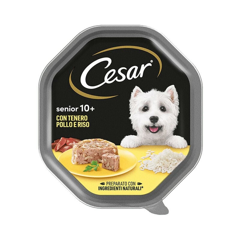 foto del prodotto per cane senior 10 mini da 150 gr cesar