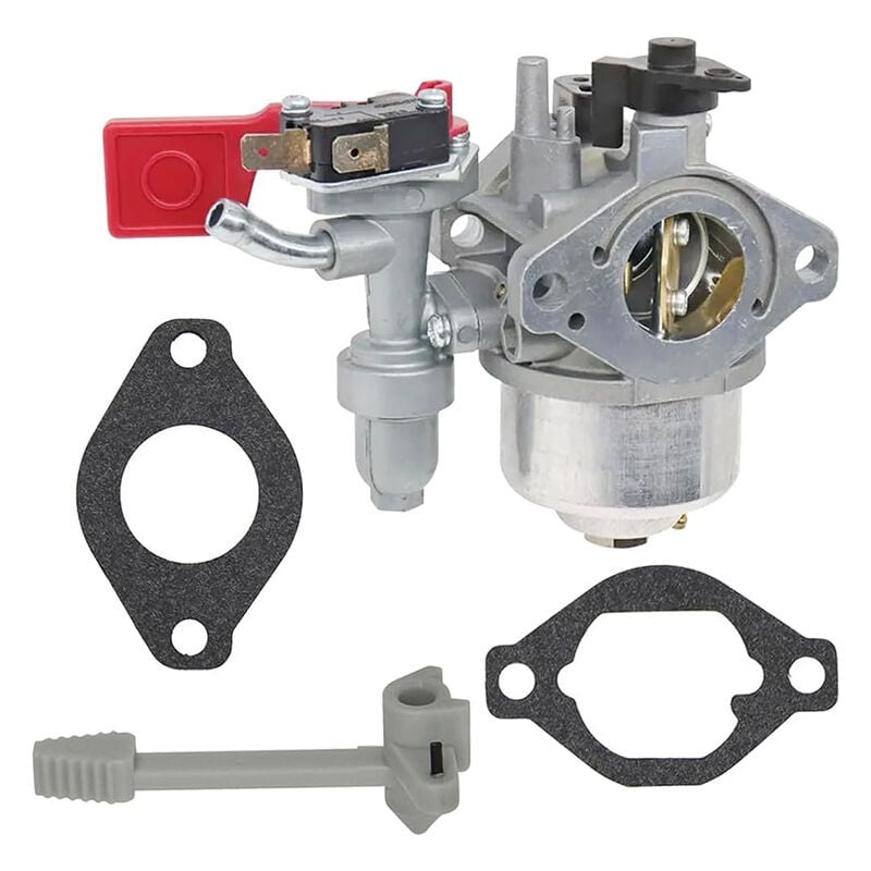 foto del prodotto per carburatore motore briggs stratton vanguard e filtro carburante carburatore 799060