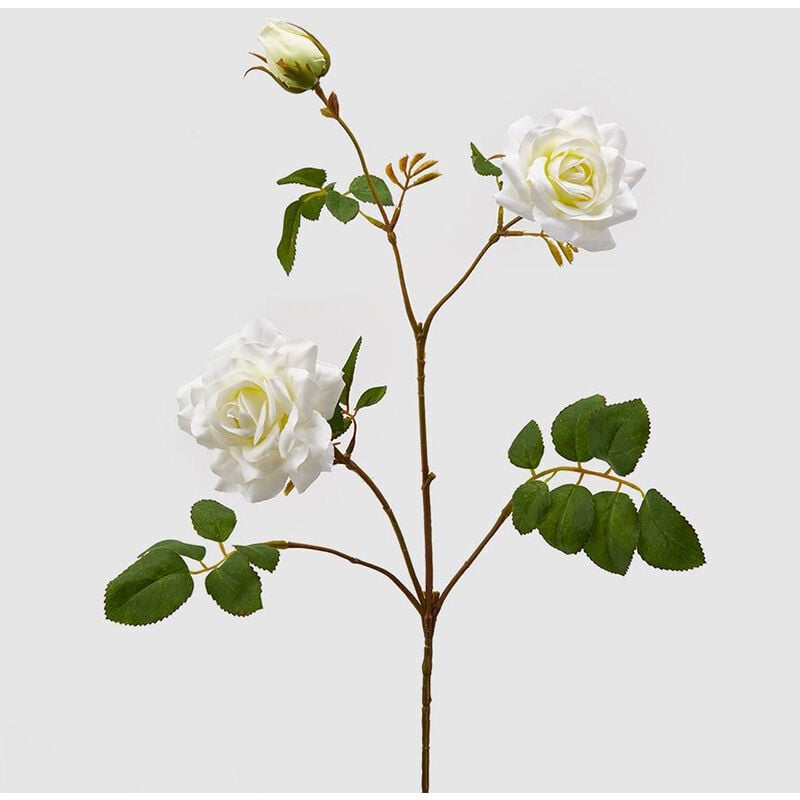 foto del prodotto peragashop rosa mara rex ramo 73cm avorio edg