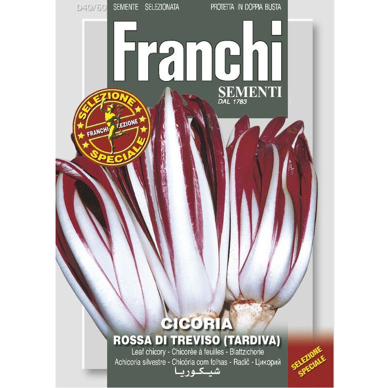 foto del prodotto peragashop semi di cicoria rossa di treviso tardiva franchi sementi