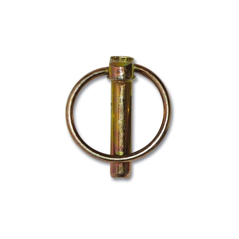 foto del prodotto perno ad anello bicromato avl da 10 mm