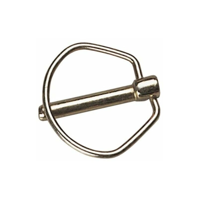 foto del prodotto perno anello 6x 55 mm.