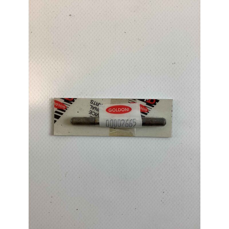 foto del prodotto perno impedimento r.m. originale goldoni 00002665