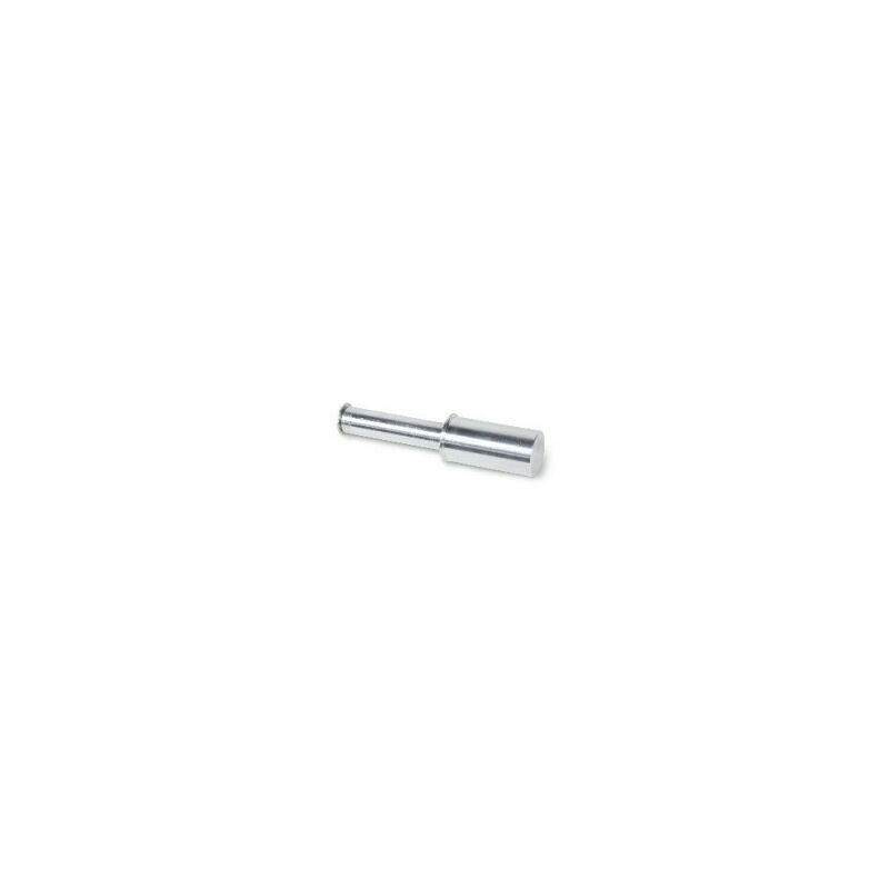 foto del prodotto perno per 3043c beta 3043c 41 ducati