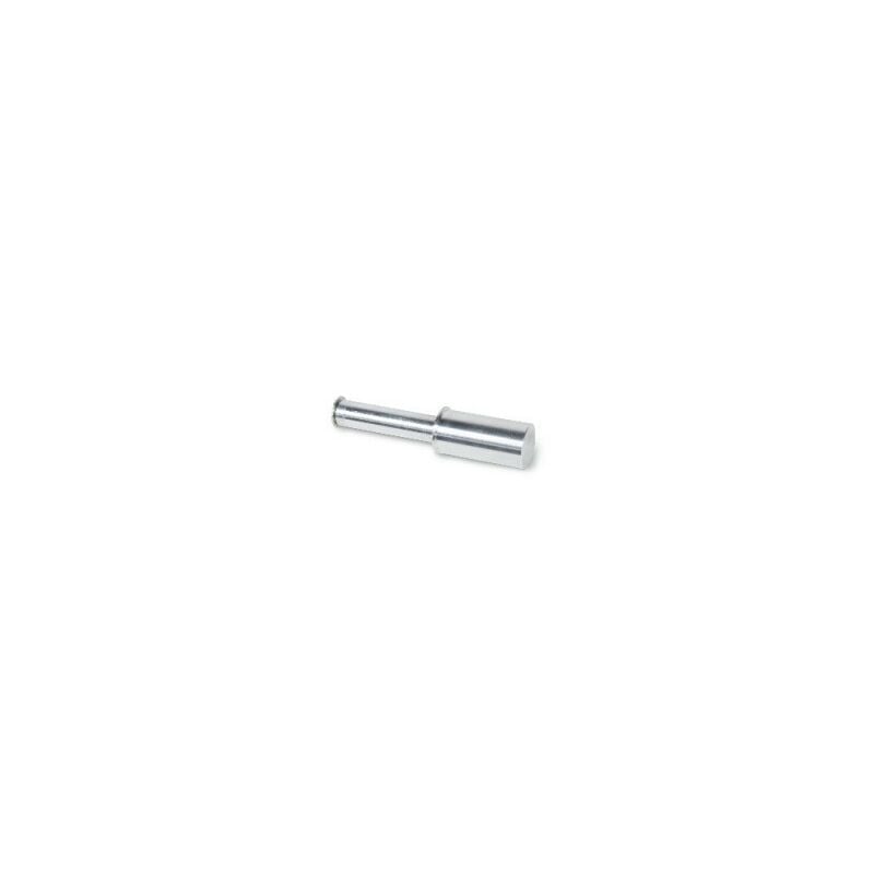foto del prodotto perno per 3043c beta 3043c 47 bmw