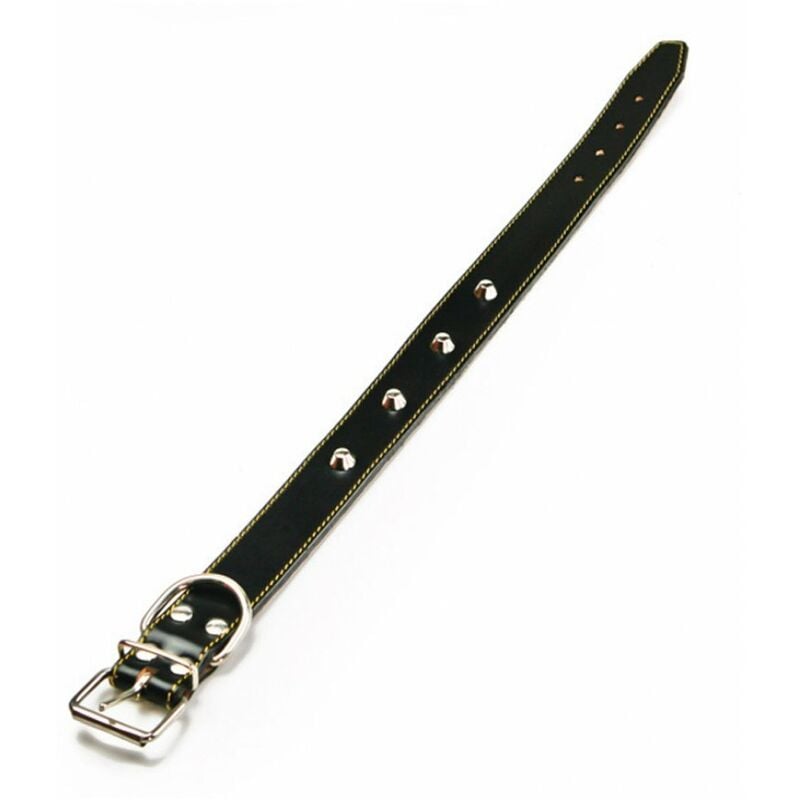 foto del prodotto pet collare in cuoio foderato con borchie col. assortiti cm. 65x4,0