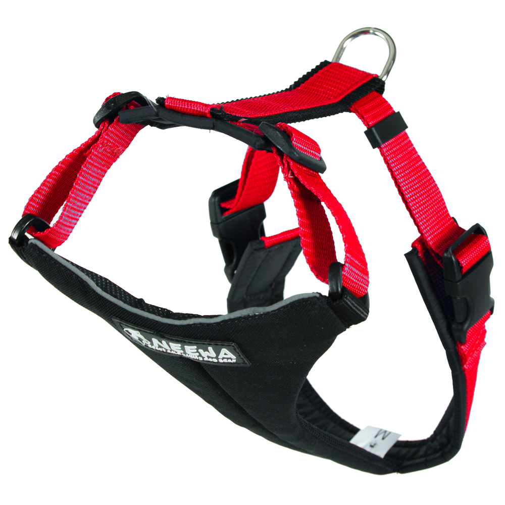 foto del prodotto pettorina neewa running, rossa 44 74 cm circ. torace
