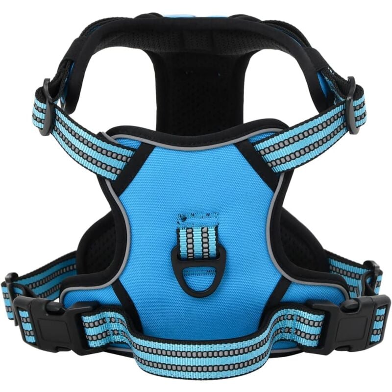 foto del prodotto pettorina per cani con guinzaglio e collare regolabile blu l vidaxl