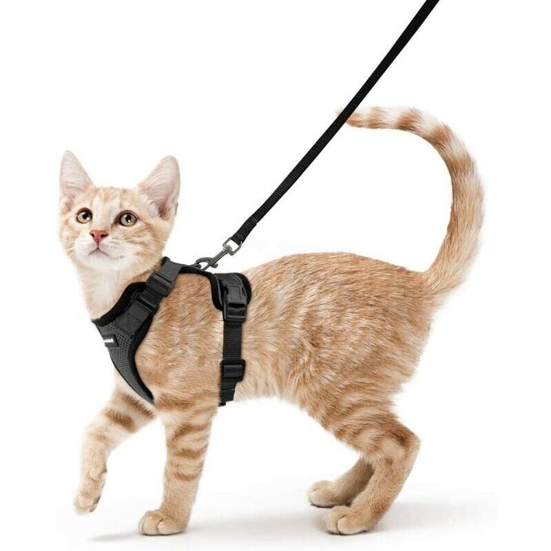 foto del prodotto pettorina per gatti guinzaglio per cani di piccola taglia pettorina regolabile per gattini gilet riflettente traspirante