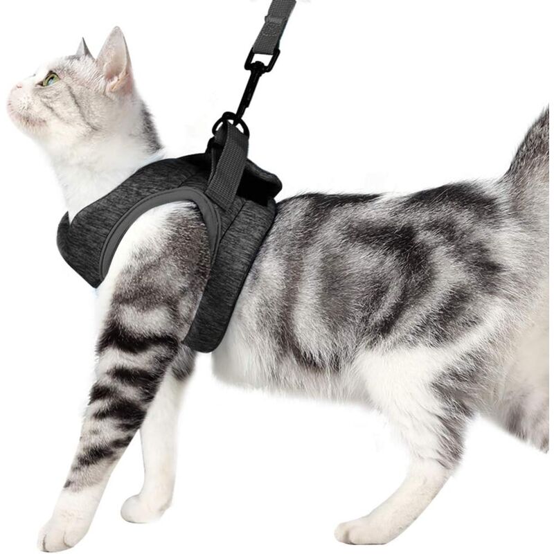 foto del prodotto pettorina per gatti, pettorina e guinzaglio ultraleggeri per gatti, collare morbido e confortevole per gattini, giacca da passeggio per gatti,