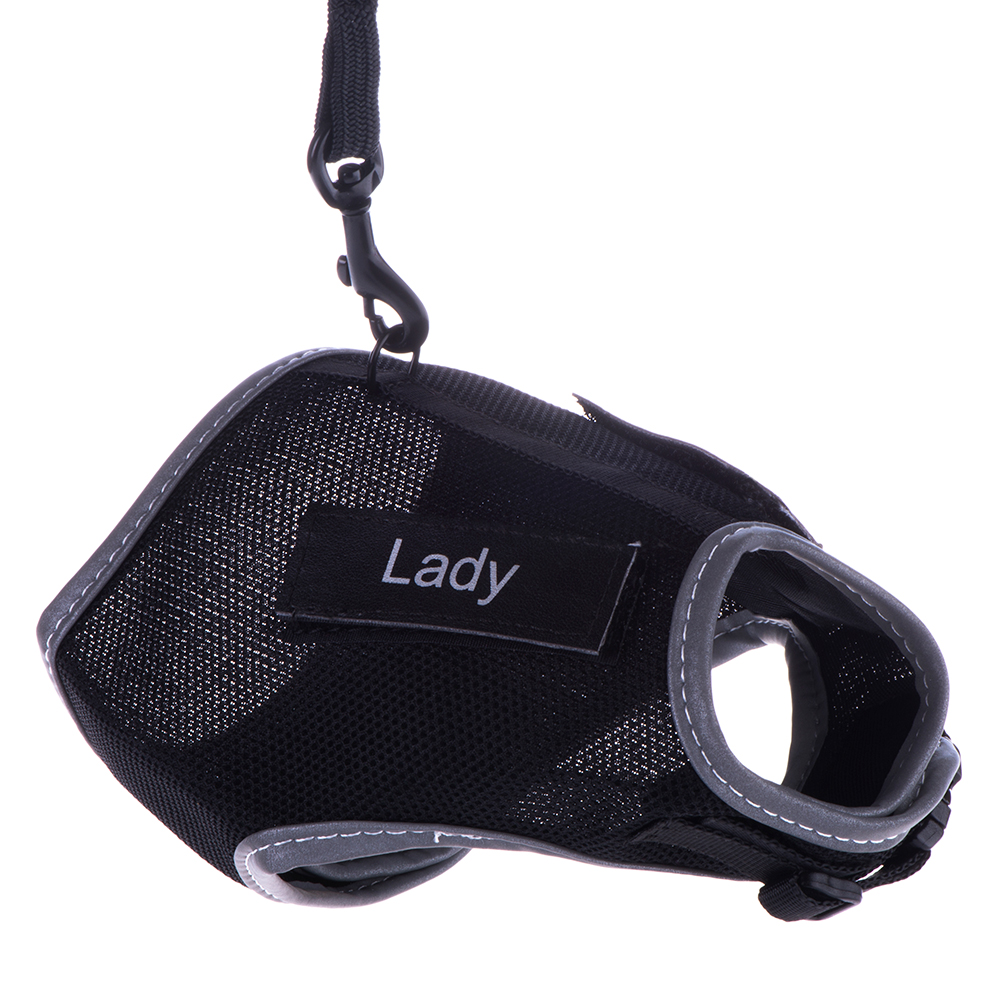 foto del prodotto pettorina per gatti trixie xcat con adesivi e guinzaglio - nero