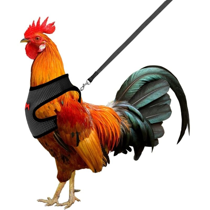 foto del prodotto pettorina regolabile per polli con guinzaglio elastico, comoda e traspirante, per animali domestici come anatre, oche, galline, camminate svelte,
