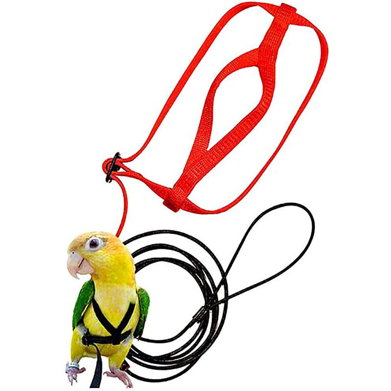foto del prodotto pettorina regolabile per uccelli anti morso, adatta per pappagalli, cacatua, parrocchetti collare giallo 