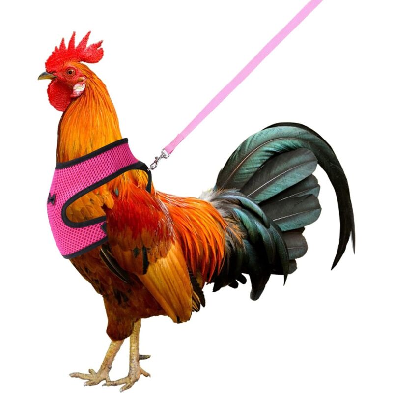 foto del prodotto pettorina regolabile traspirante per animali domestici con guinzaglio per polli, anatre, oche, taglia m rosa 