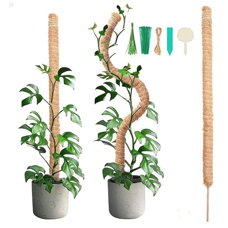 foto del prodotto pezzi 90cm bastone di muschio pieghevole con 2 pezzi 2m corda di canapa lunga, bastone di palma da cocco per piante, aiuti per l arrampicata per