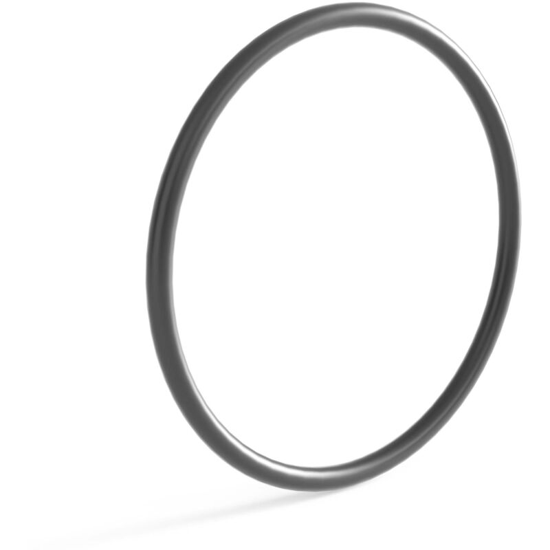 foto del prodotto pezzo ricambio sterilizzatore uv laghetto sunsun cuv 172 o ring 2