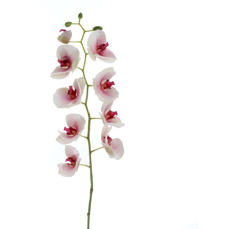 foto del prodotto phalaenopsis artificiale altezza 95 cm bianco