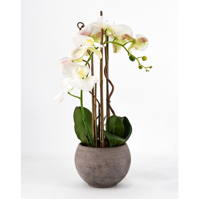 foto del prodotto phalaenopsis orchidea artificiale 50cm con vaso ovale bianca fiori piante artificiali