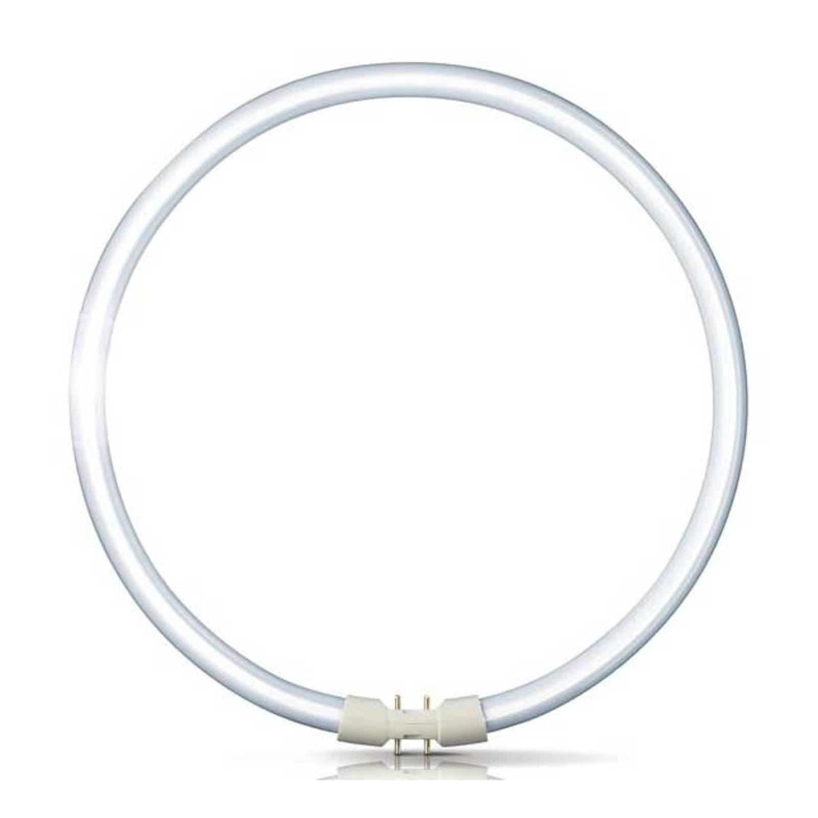 foto del prodotto philips 2gx13 60w 840 anello fluorescente master tl5