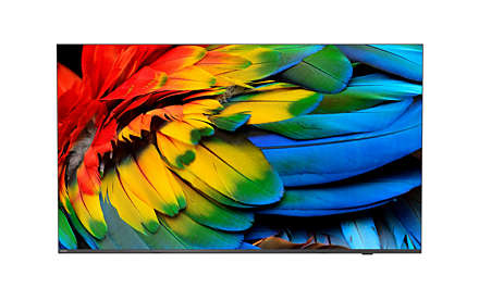 foto del prodotto philips 65hfl6214u 12 tv 165,1 cm 65 4k ultra hd wi fi antracite 400 cd m 