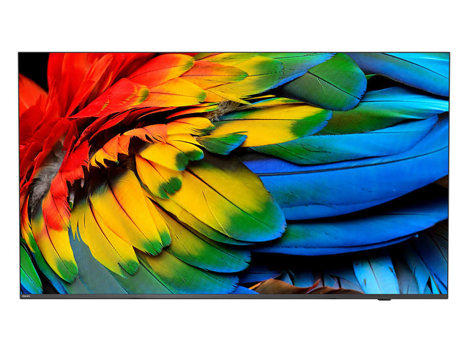 foto del prodotto philips 75hfl6214u 190,5 cm 75 4k ultra hd smart tv wi fi antracite 400 cd m 