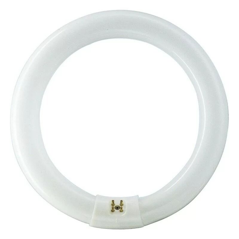foto del prodotto philips 840551 lampadina circolare g10q 32w 865 master tl e super 80