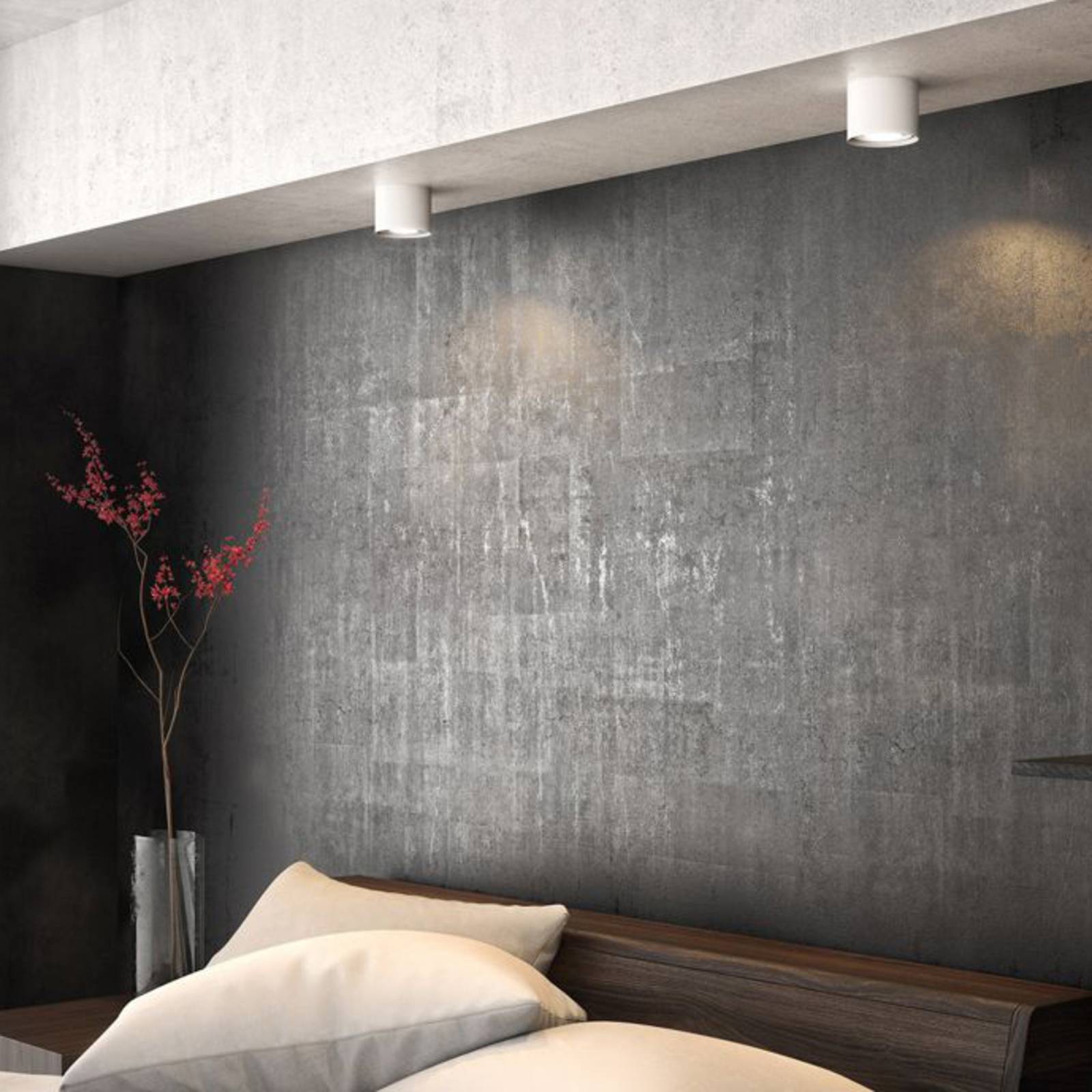 foto del prodotto philips faretto a led phase