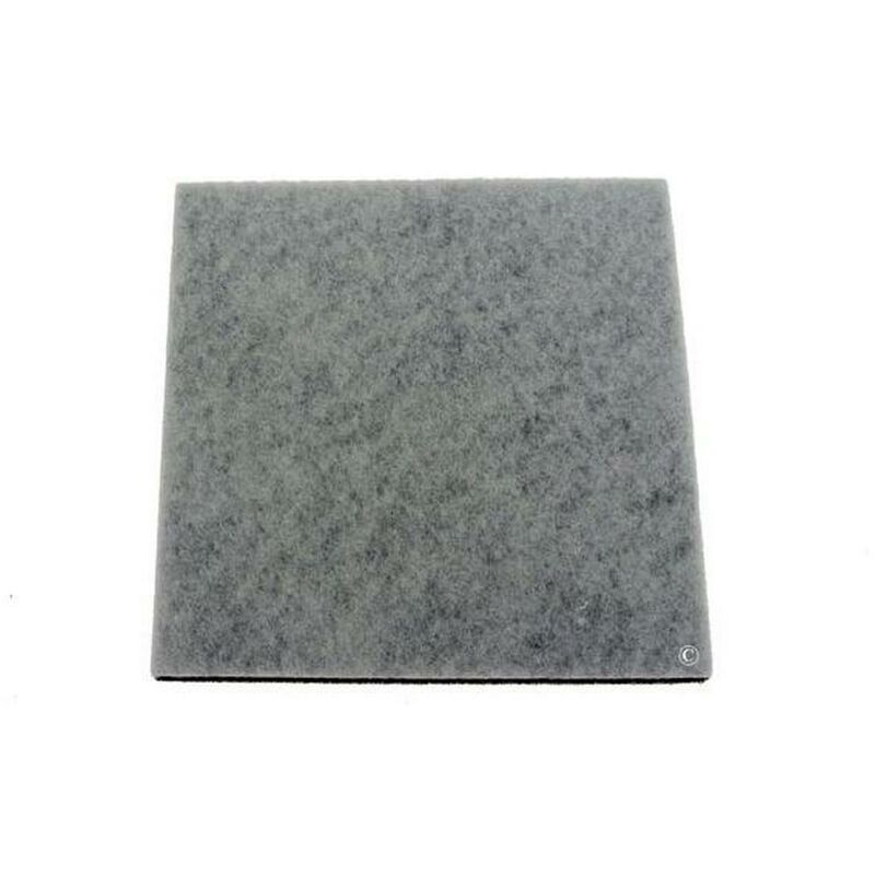 foto del prodotto philips filtro motore aspirapolvere 370334012074383299