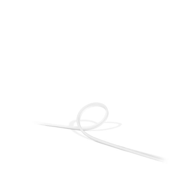 foto del prodotto philips hue white and color ambiance lightstrip da esterno 2m