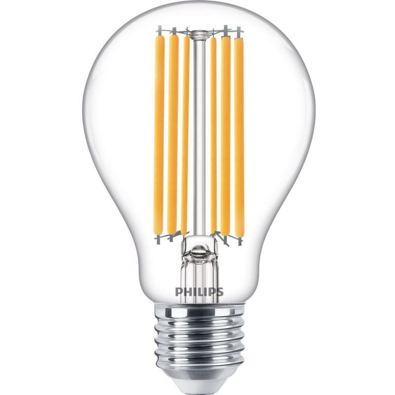 foto del prodotto philips lampadina trasparente a filamento 120 w a67 e27