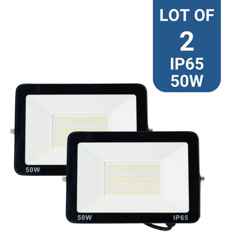 foto del prodotto philips lotto di 2 proiettori led da esterno 50w 95lm w ip65 bianco caldo