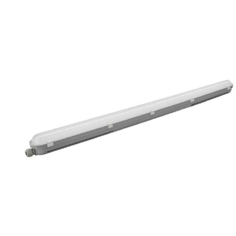 foto del prodotto philips plafoniera stagna wt065c led68s 840 psu l1500 2x58w 36954999