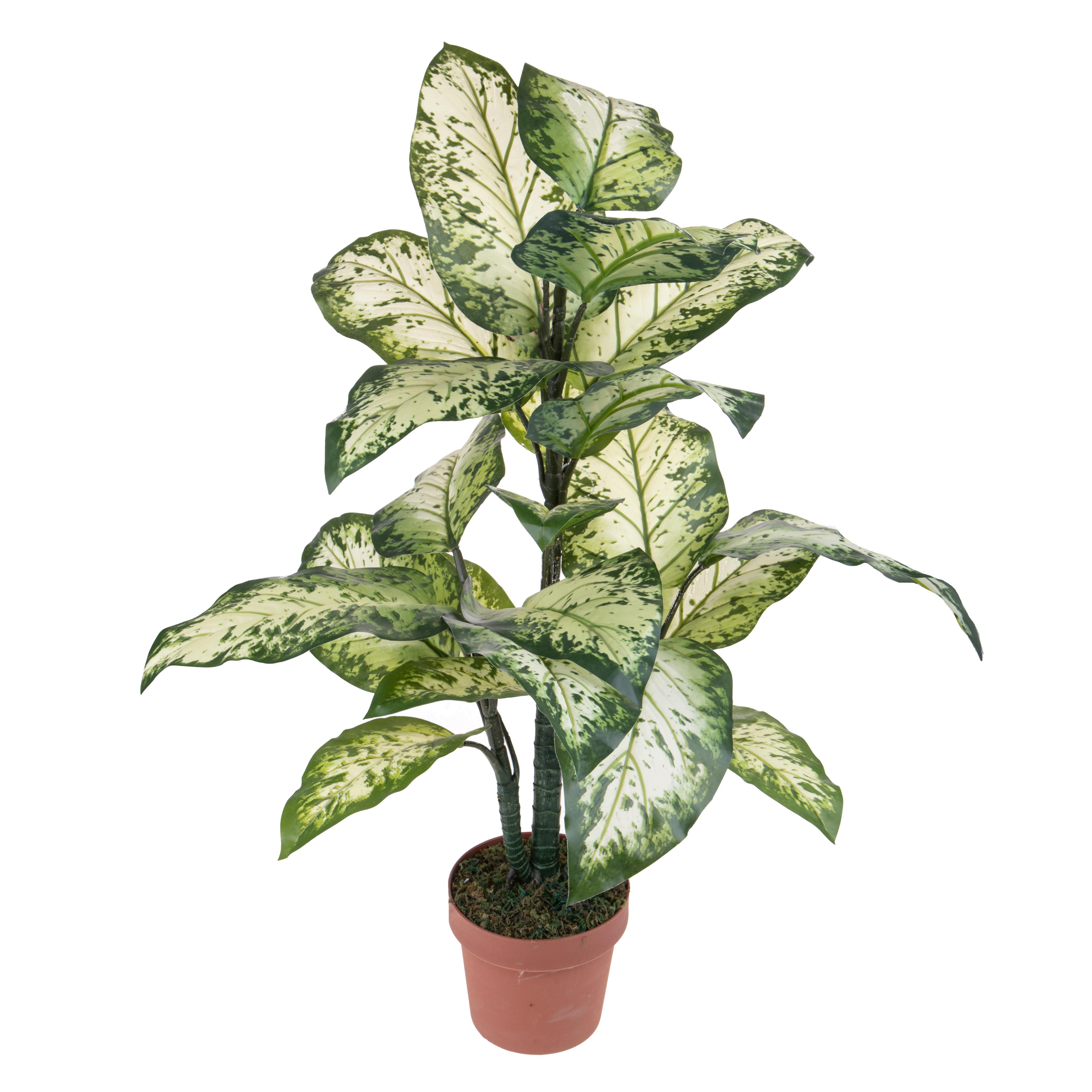 foto del prodotto pianta artificiale aglaonema in vaso con 22 foglie h 100 cm